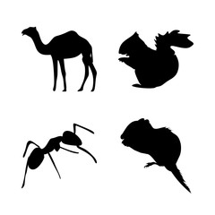 icon Animal with commensal, travel, hot, transportation and parasitic