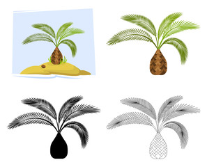 Tropical palm trees. Illustration of a palm tree, black silhouettes and outline contours isolated on white background. Vector