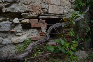 natural natura e cielo al tramonto 