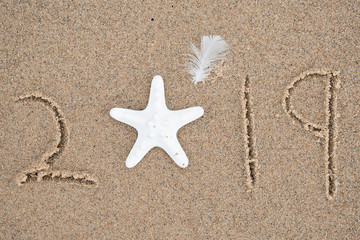 Fototapeta na wymiar starfish and white feather in wet beach sand for New Year 2019