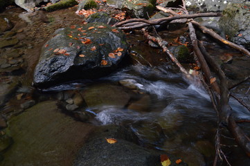 Fototapeta premium paesaggi al tramonto e natura 