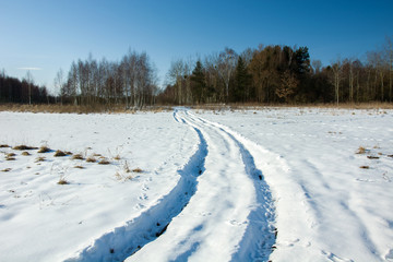 Fototapeta na wymiar Country road and forest in winter