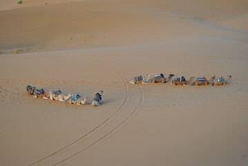 Fototapeta na wymiar Caravana en el desierto del Sahara, Marruecos