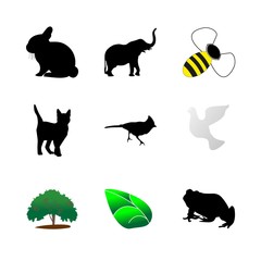 icon Animal with love, thrush bird, pose, cute and black cat