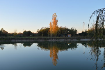 paesaggi al tramonto e natura 