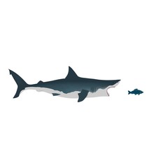 Obraz premium Shark with open and petite fish. Flat isolated vector illustration on a white background.