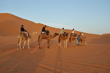 Caravana en cdromedarios, desierto del Sahara, Marruecos