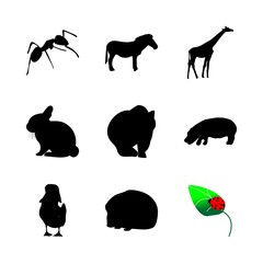 icon Animal with anthill, shape, ant, wildlife and duckling