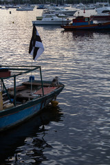 Fototapeta na wymiar Small dog in a wooden boat on the lake in urca beach city rio de janeiro