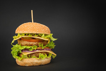 Delicious double burger on black