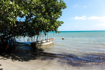 Strand in der Karibik auf Jamaika © ajlatan