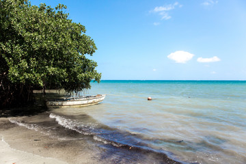 Strand in der Karibik auf Jamaika © ajlatan