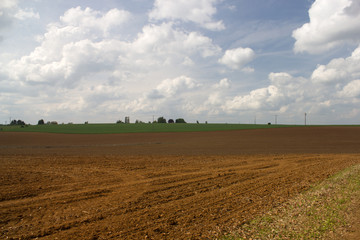 Large field during a summer day