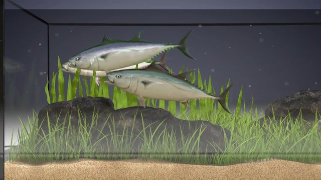 a lonely fish decides to jump to be with the others again determination challenge success and strength concept