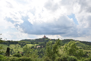 fiori e neve , paesaggi e nuvole 