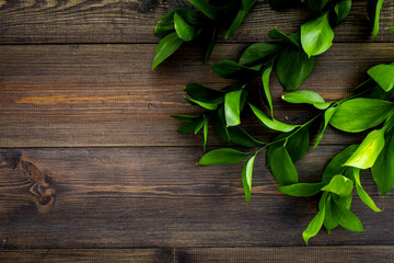 Summer concept. Bright greenery. Sprig with green foliage on dark wooden top view space for text