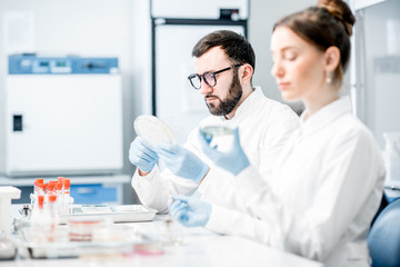 Fototapeta premium Couple of medics in uniform making bacteriological tests sitting in the modern laboratory