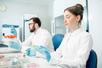 Fototapeta premium Couple of medics in uniform making bacteriological tests sitting in the modern laboratory