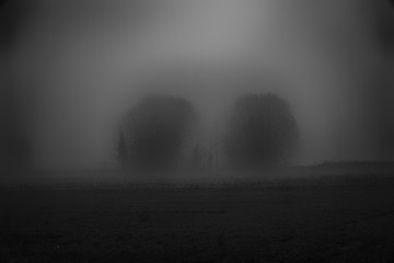 Landscape of dense fog in the field and silhouette of trees in w