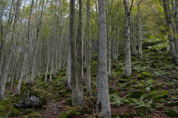 Fototapeta premium paesaggi naturali , uomo e tecnologia 