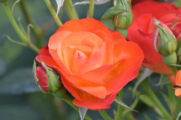 paesaggi naturali , uomo e tecnologia 