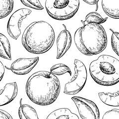 Apricot seamless pattern. Vector drawing . Hand drawn fruit
