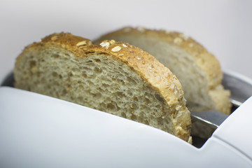 Toast bread in the toaster