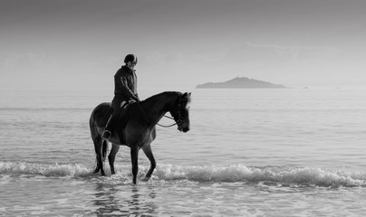 horse ay beach