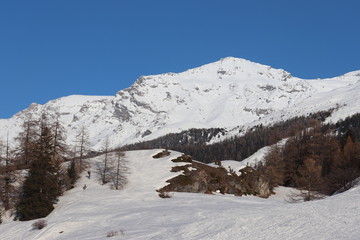 Fototapeta na wymiar Auvergne-Rhône-Alpes - Savoie - Valcenis - La nature en hiver