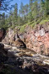 Fototapeta na wymiar High spruce on the rocks above the stormy river, Finland