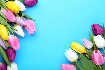 Bouquet of tulips on blue background