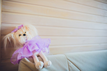 Fototapeta na wymiar children's toy dog in a skirt sits on the edge of a sofa