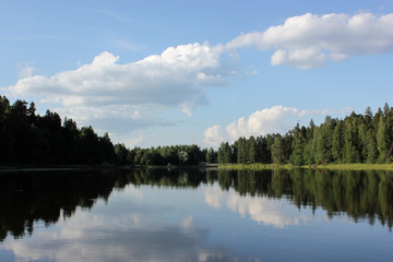Fototapeta na wymiar beautiful lake landscape with trees and herbs