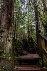 Stairway section of trail to Schooner Cover, Vancouver Island, Canada.