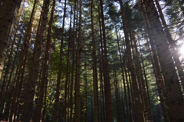 Natura e paesaggi nuvole e cielo 