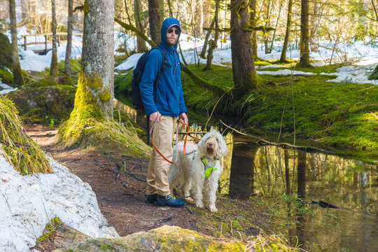 Young Italian man going for hiking in the forest with friendly white wire-haired breed dog spinone italiano along the mountain river with clean transparent water on a sunny day Trentino, Italy, Europe