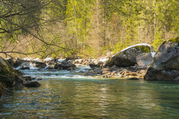 Naklejka na ściany i meble Walk in the forest by the mountain river Sarca in Val Genova next to the Cascate Nardis seen on a sunny spring day, Trentino, Italy, Europe