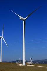 wind farm with turbo generation with blue sky and hut