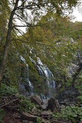 paesaggi   fiori e natura 