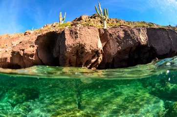 Coral reef scenics of the Sea of Cortez, Baja California Sur, Mexico.  © leonardogonzalez