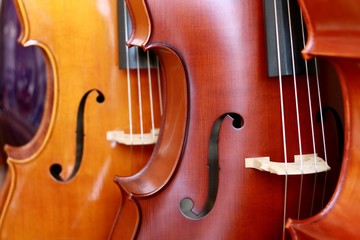 Fototapeta premium close-up image of a violin in a shop