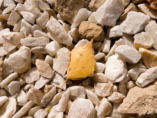 texture of the stone wall