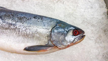 Fish for cooking lies in the store on ice