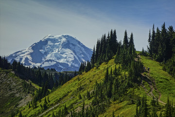 Mt. Baker from Skyline Divide trail