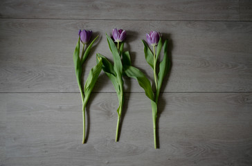 Tulip bouquet