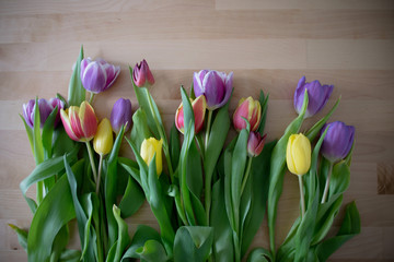 Tulip bouquet