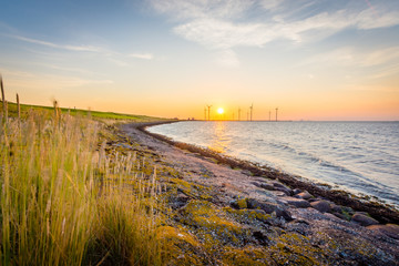Fototapeta premium Harlingen - Netherlands