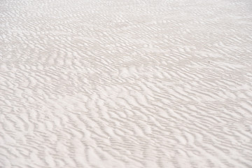 White sand beach background texture