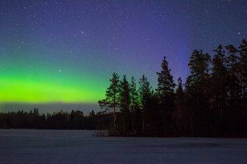 Polar northen lights aurora borealis at night in the starry sky above the lake with the island and the silhouette trees by the forest on horizon.