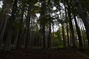 Obraz premium natura uomo e cemento strutture industria 